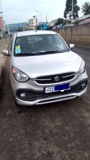 Suzuki Celerio 2021 Silver