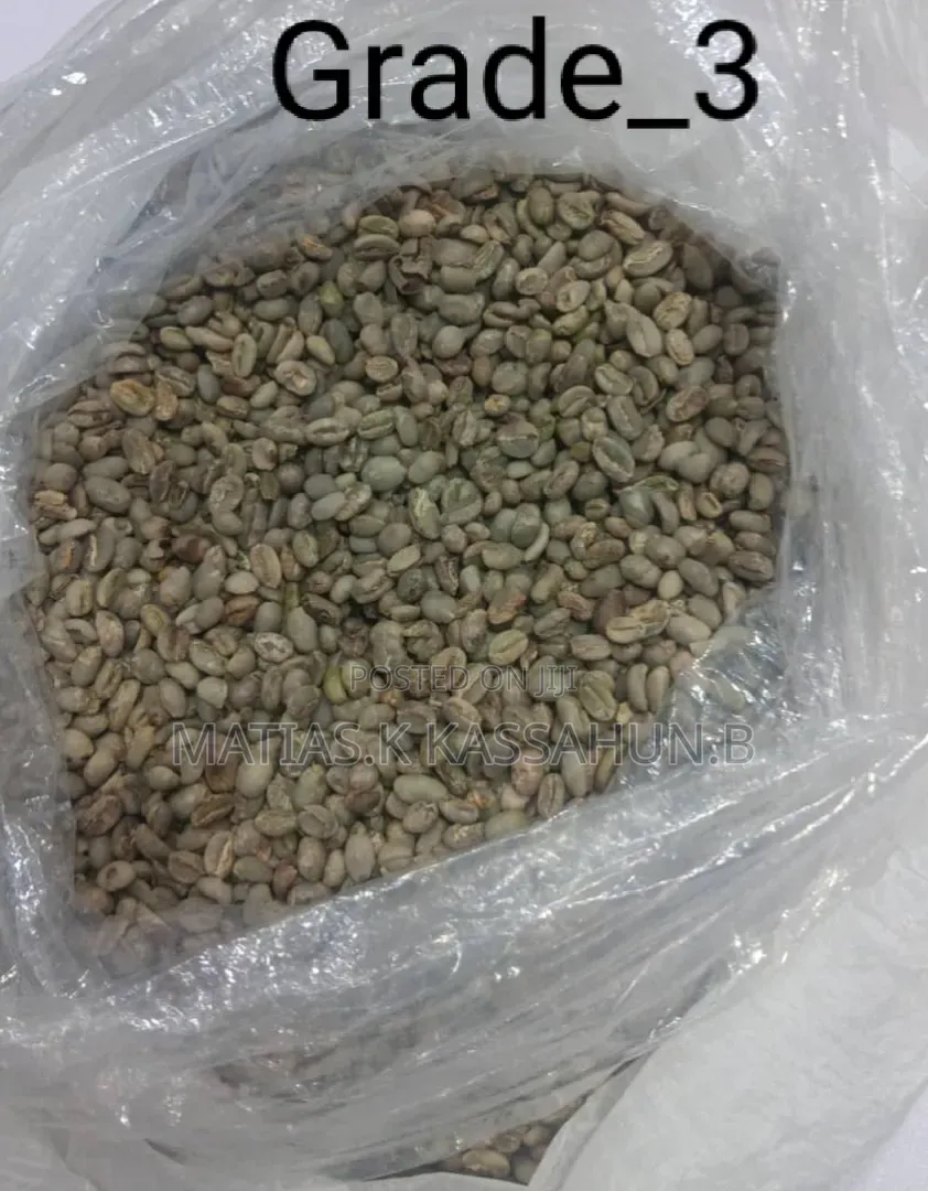 ጥሬ ቡና Raw Coffee