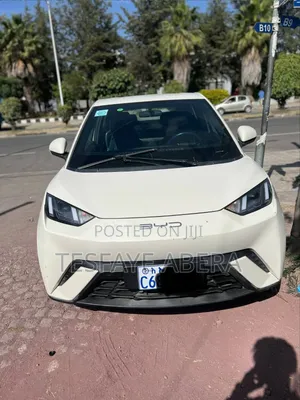 BYD Seagull 2024 White