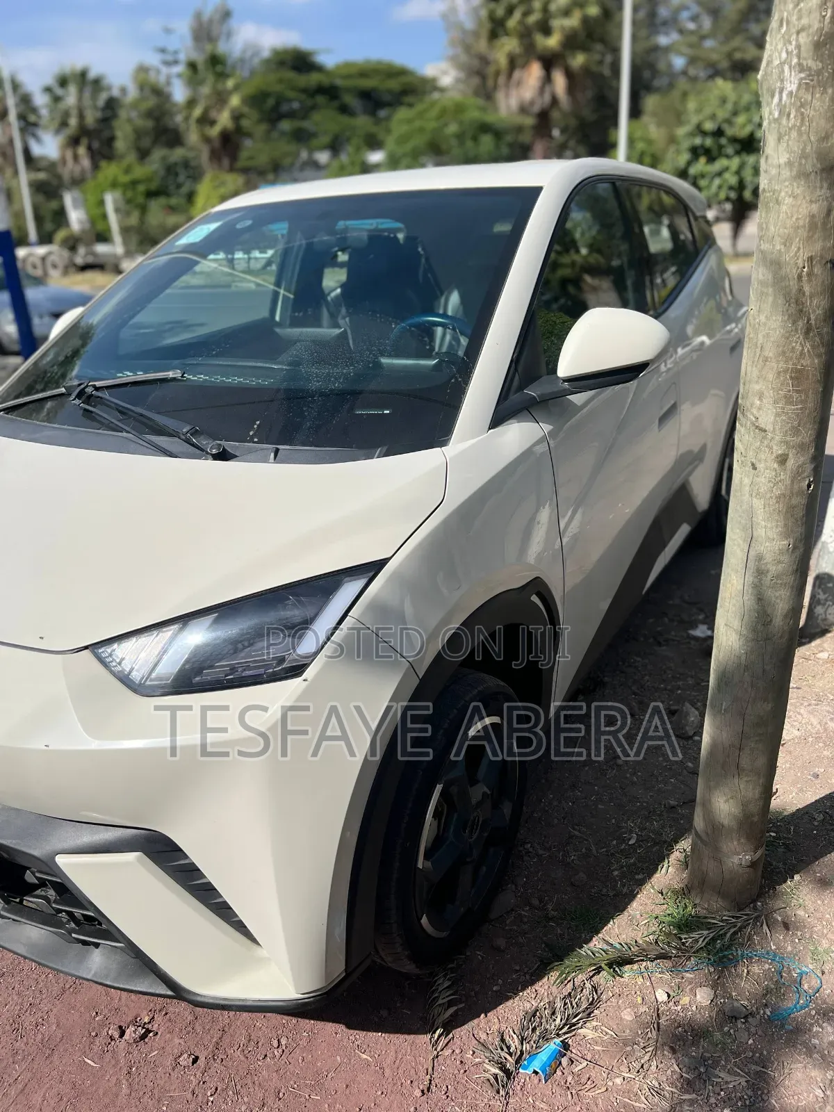 BYD Seagull 2024 White