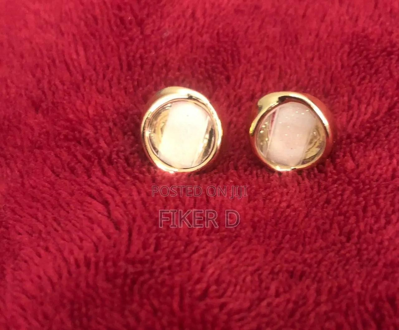 Elegant Earrings