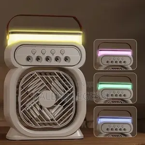 Duel Use Air Cooler Fan and Humidifier
