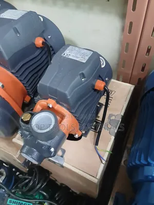 LEO APm75 Peripheral Water Pump, a 1 HP Surface Electric Water Pump