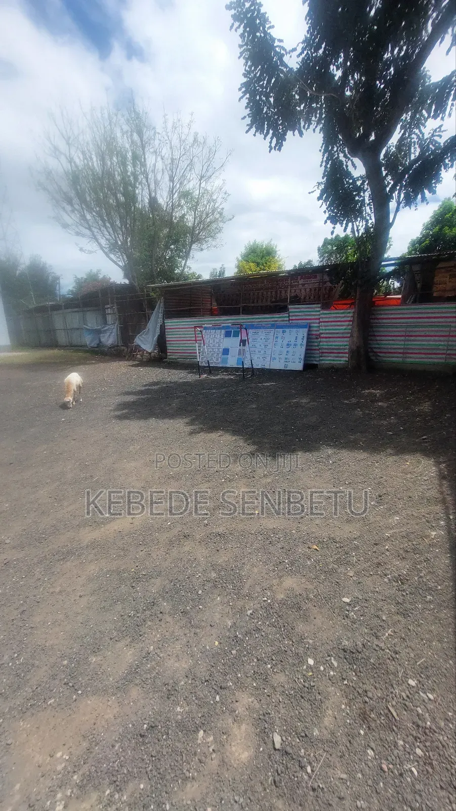 Furnished 3bdrm House in East Shewa for rent