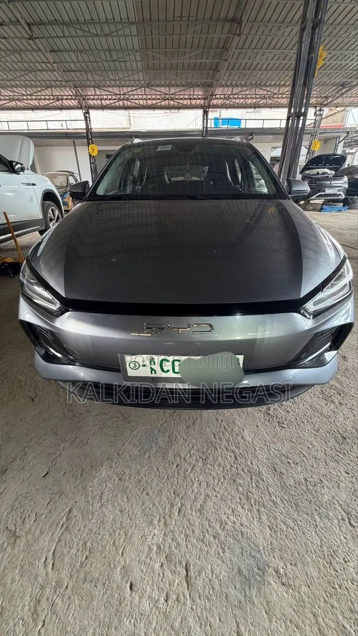 BYD E2 43 kWh 94 hp FWD 2025 Silver
