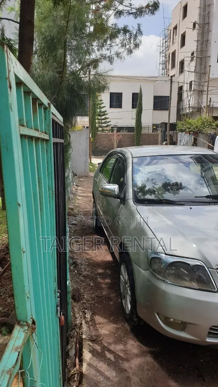 Toyota Corolla Rent