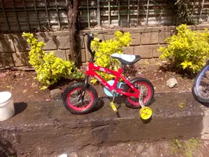 12kutr Bike