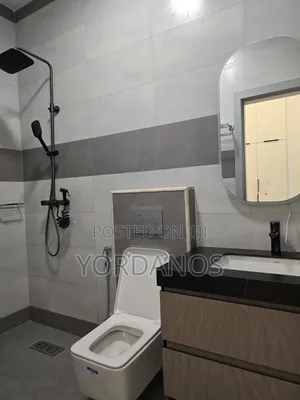 Furnished 2bdrm Apartment in Lideta for sale