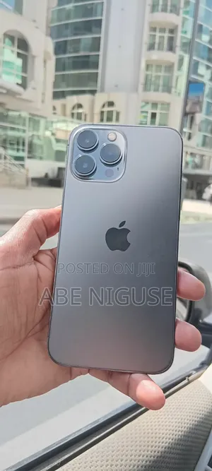 Apple iPhone 13 Pro Max 256 GB Gray