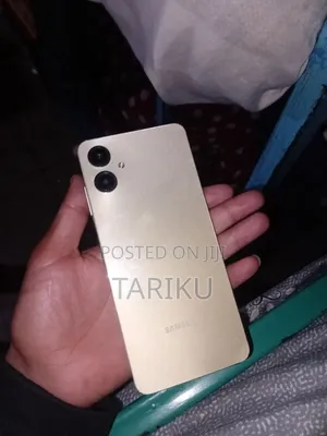 Samsung Galaxy A06 64 GB Rose Gold