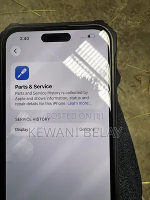 Apple iPhone 15 Pro Max 256 GB