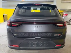 Neta V Base 2023 Gray