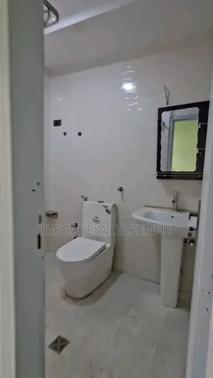 Furnished 3bdrm Apartment in Lideta for sale