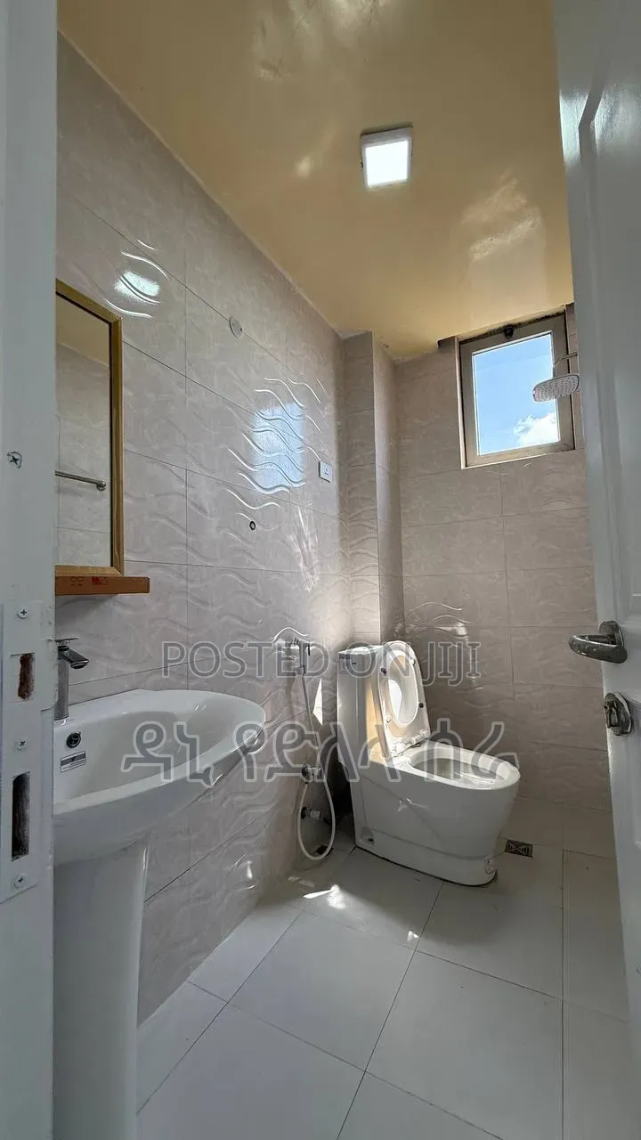 Furnished 3bdrm Condo in አዲስ አበባ, Bole for sale