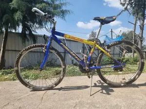 Bicycle Almost New