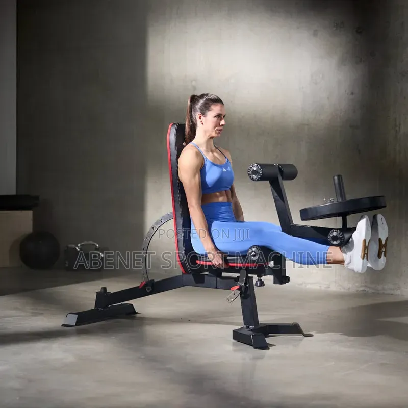 ዘመናዊ የአዉሮጳዉያን ስታንዳርድ Adidas Bench & Leg Extension