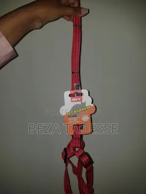 Harness Dog Leash