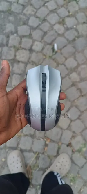 Mouse Blotith