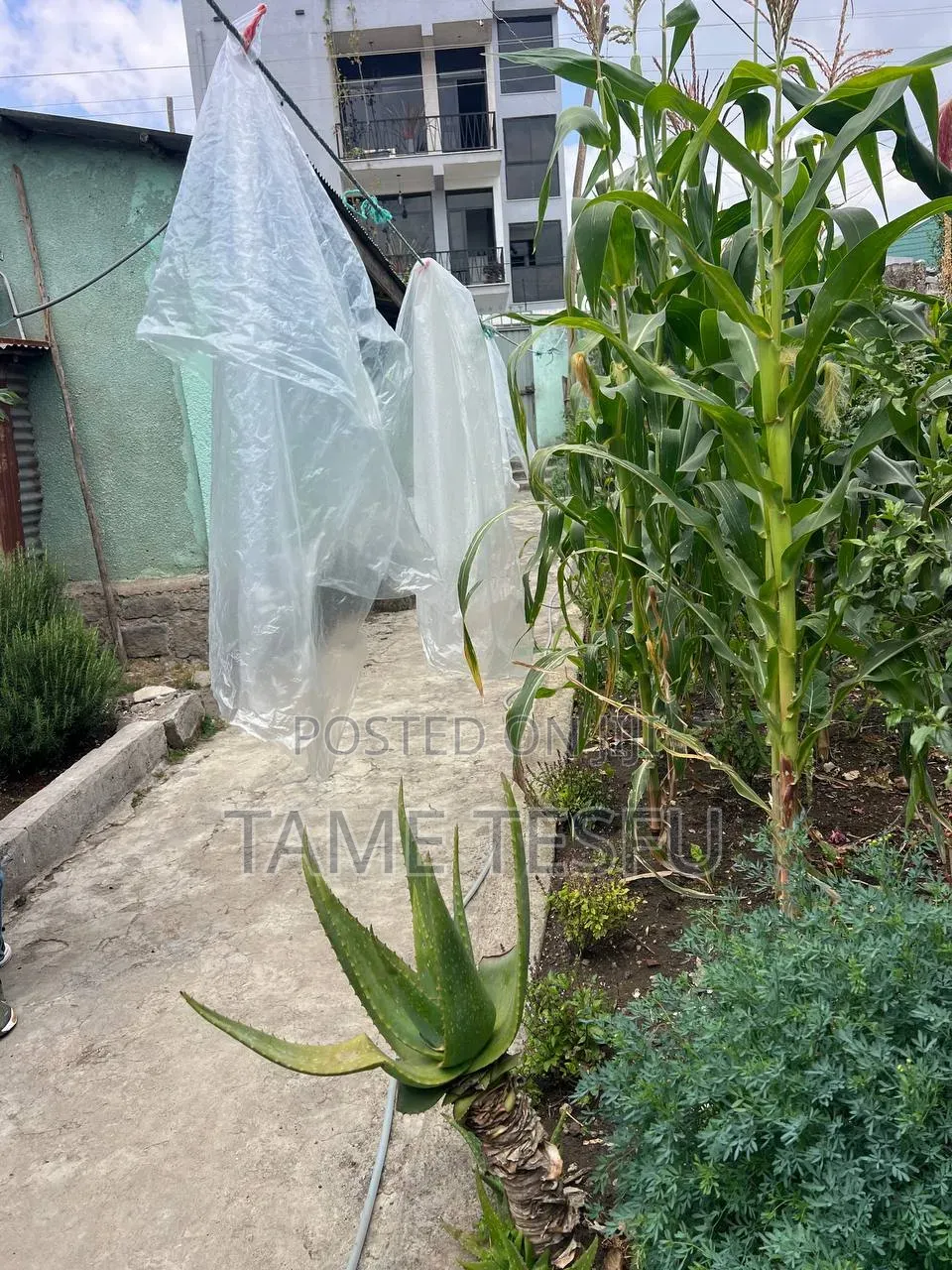 2bdrm House in Cmc, Yeka for sale