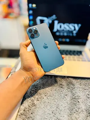New Apple iPhone 12 Pro Max 256 GB Blue