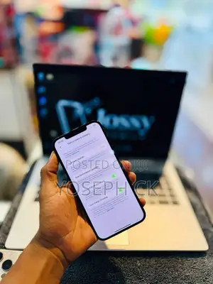 New Apple iPhone 12 Pro Max 256 GB Blue