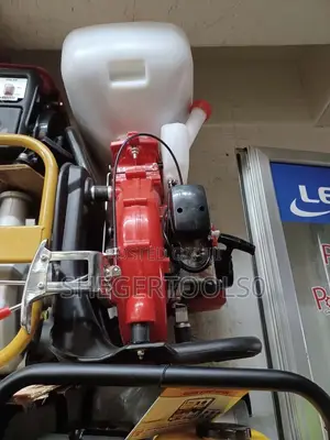 Knapsack Power Spray