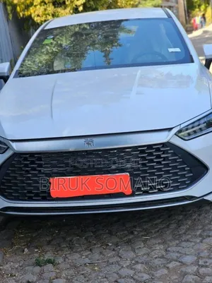 BYD Qin Plus DM-i 2025 White