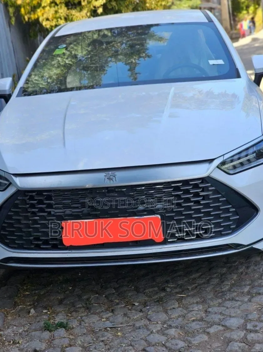 BYD Qin Plus DM-i 2025 White