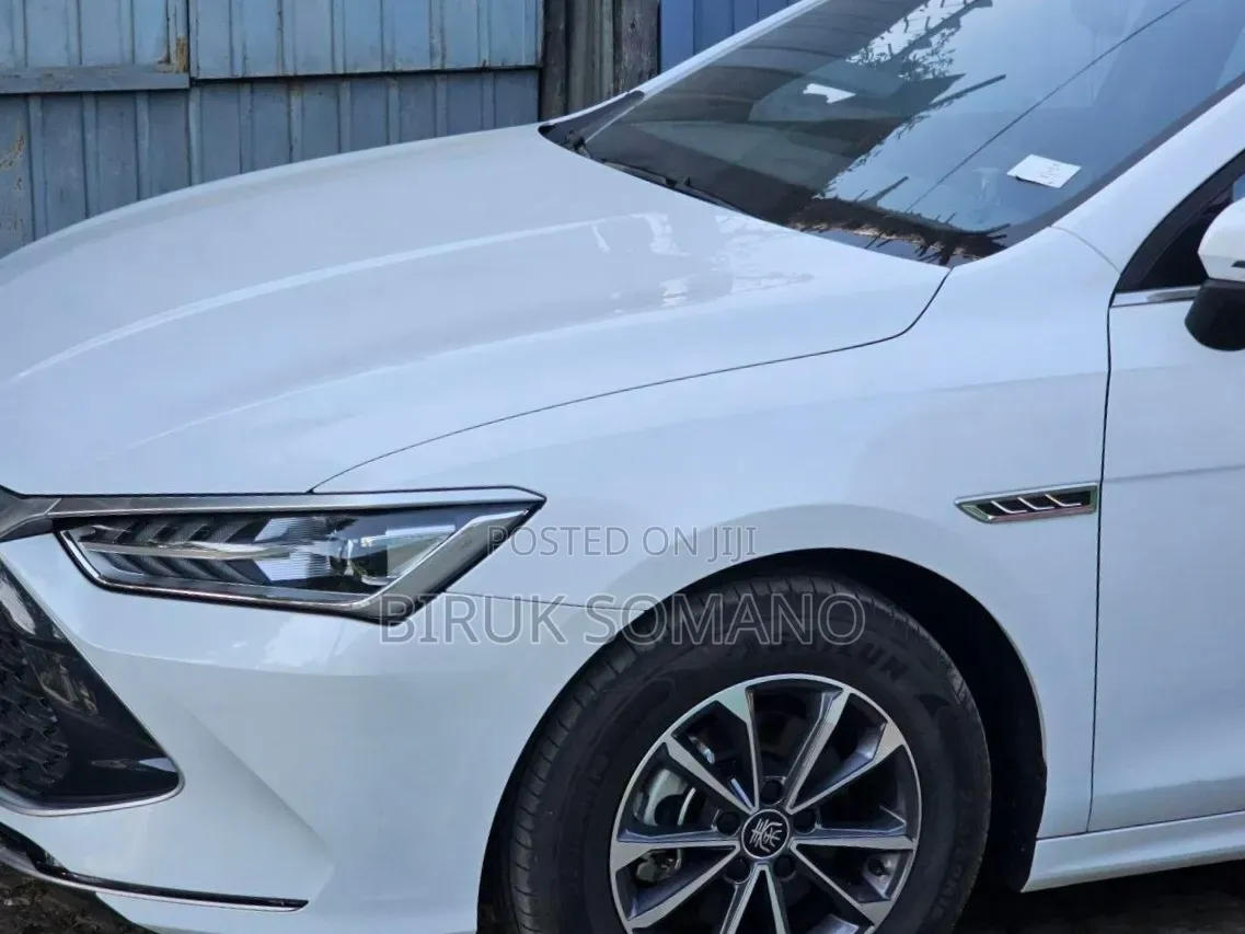 BYD Qin Plus DM-i 2025 White