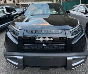 New BYD Leopard 3 2026 Black