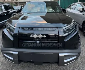 New BYD Leopard 3 2026 Black