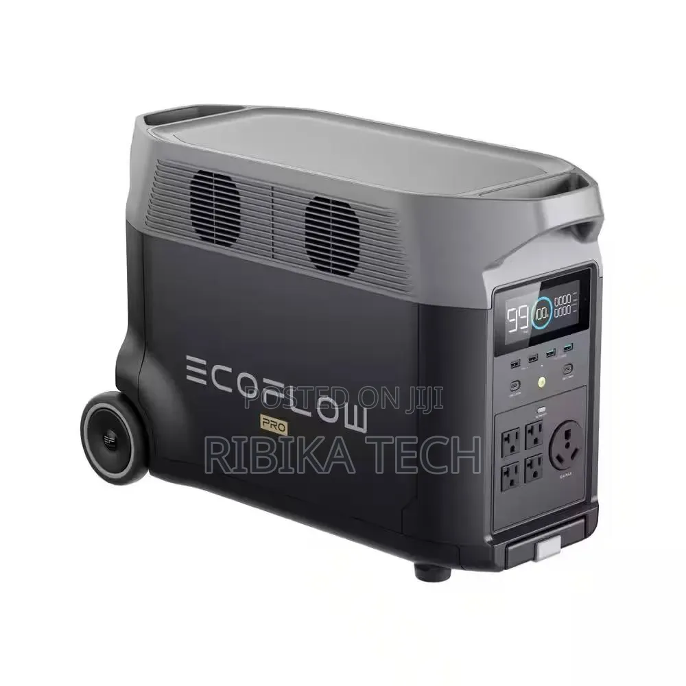 Ecoflow Delta Pro