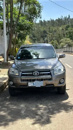 Toyota RAV4 2009 Brown