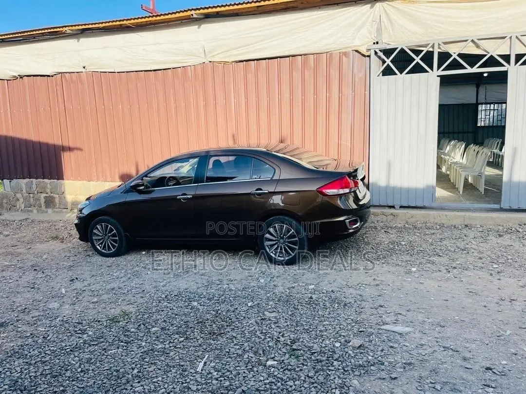 Suzuki Ciaz 2022 Brown