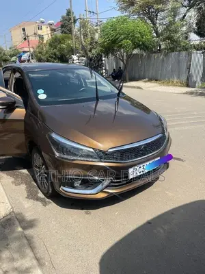 Suzuki Ciaz 2022 Brown