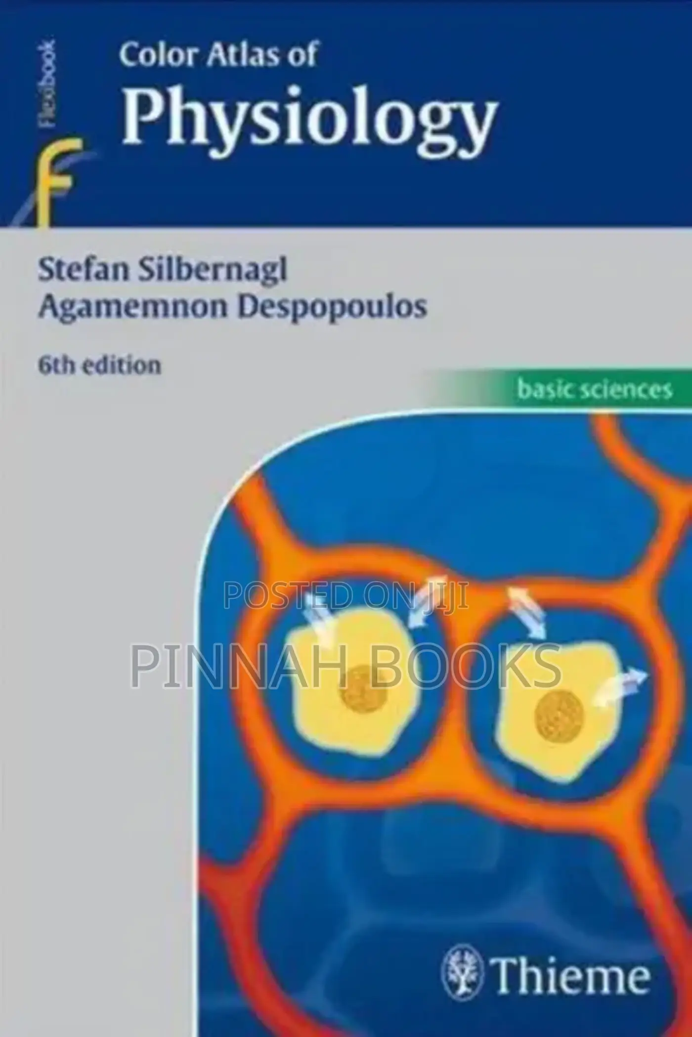 Color Atlas of Physiology, 6th Ed by Stefan Silbernagl & Agamemnon D.