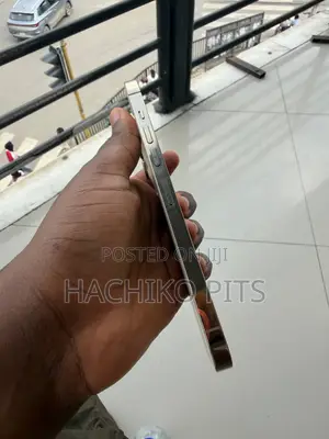 Apple iPhone 11 Pro Max 64 GB Gray