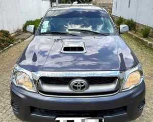 Toyota Hilux 2011 Gray