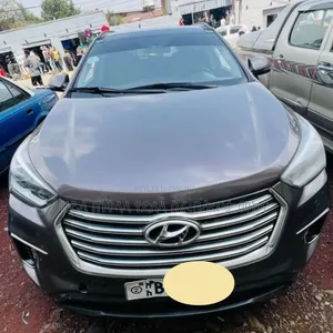 Hyundai Santa Fe 2016 Pink