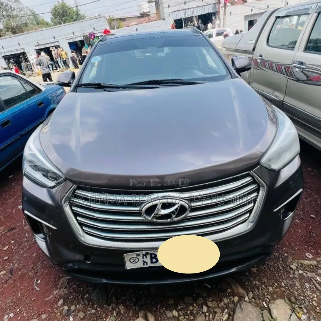 Hyundai Santa Fe 2016 Pink