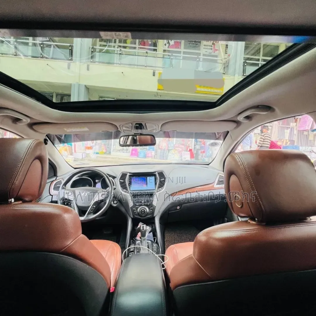 Hyundai Santa Fe 2016 Pink