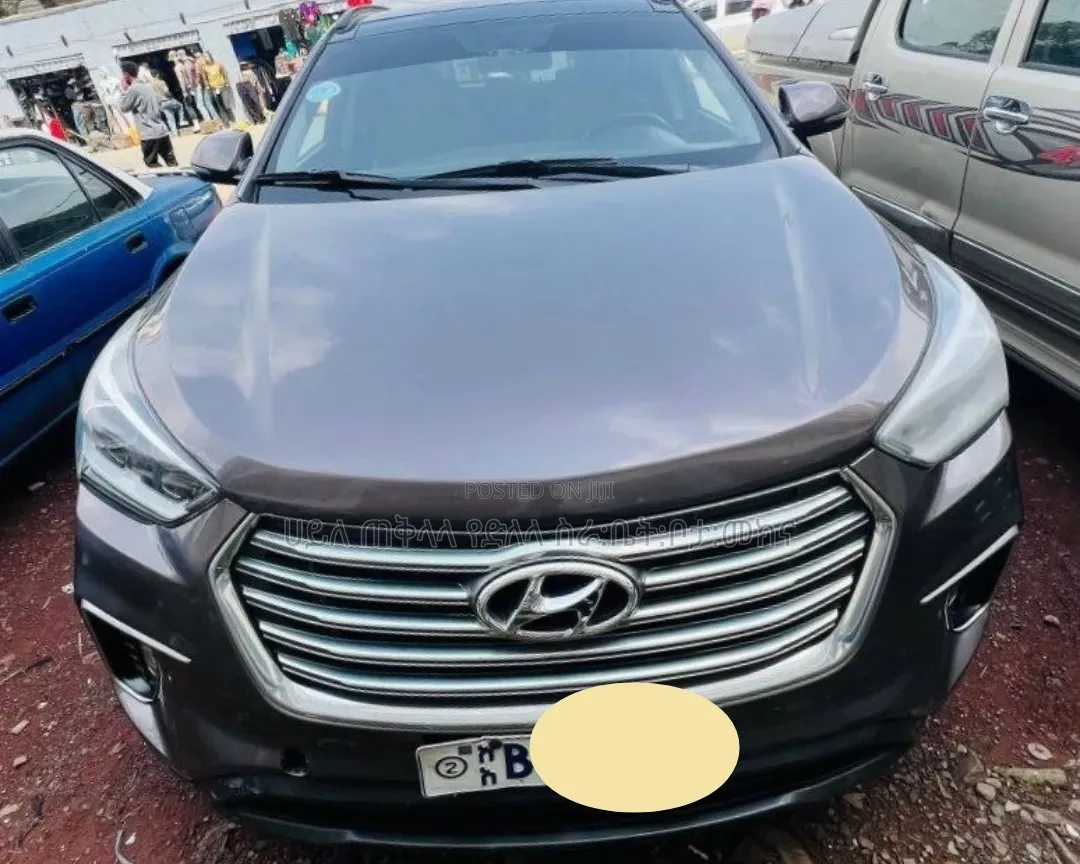 Hyundai Santa Fe 2016 Pink