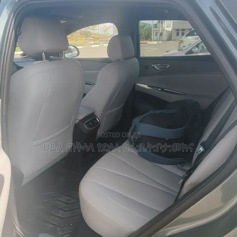 BYD Seal 06 DM-i 2026 Green