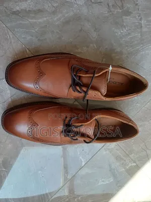 Brand New Aldo Men Shoa