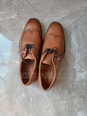 Brand New Aldo Men Shoa