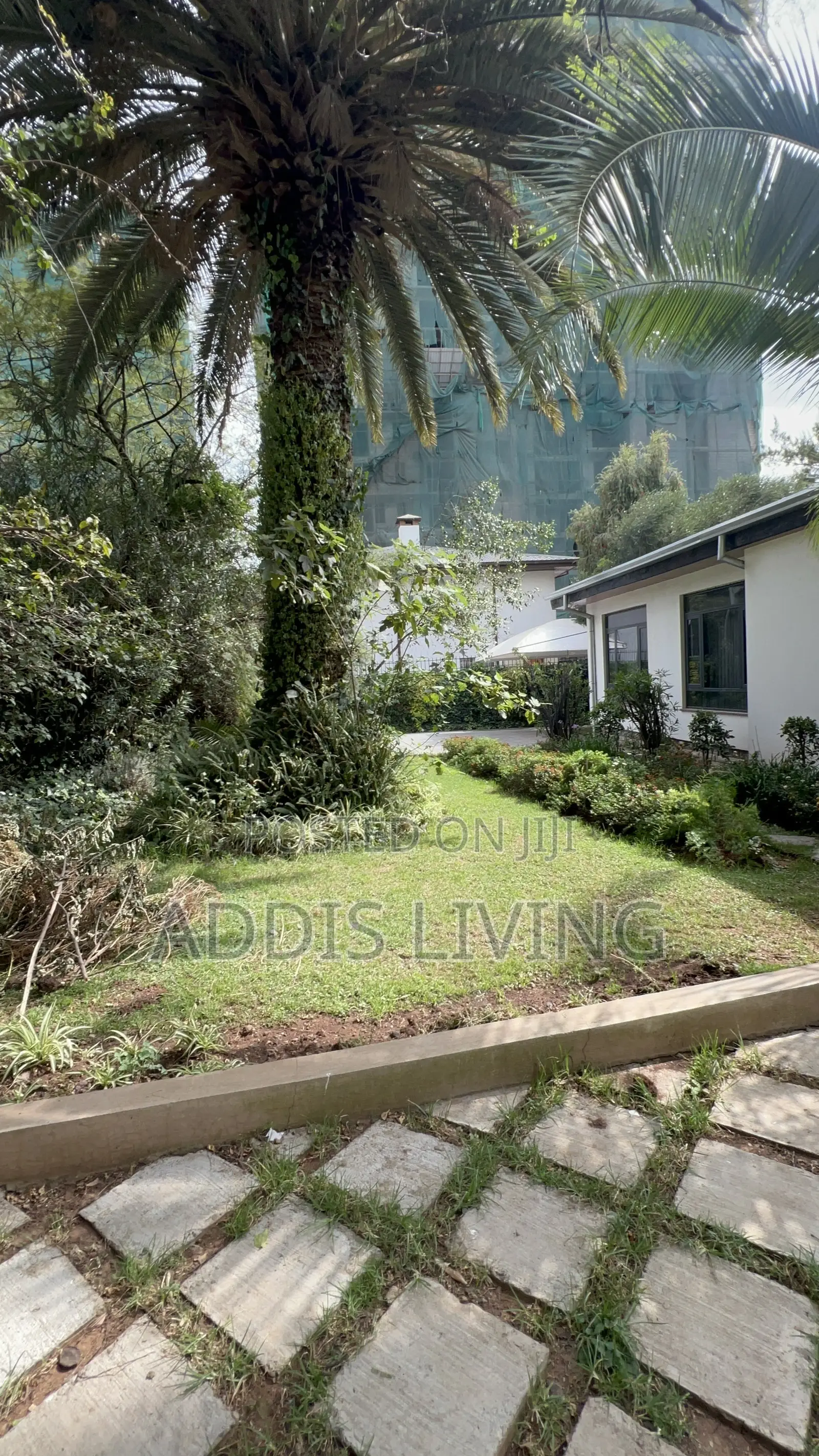 Furnished 6bdrm Villa in Bole for rent