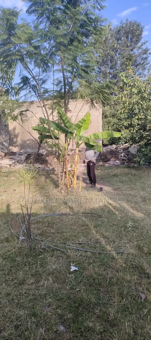Furnished 3bdrm House in Bishoftu Dukem, East Shewa for sale