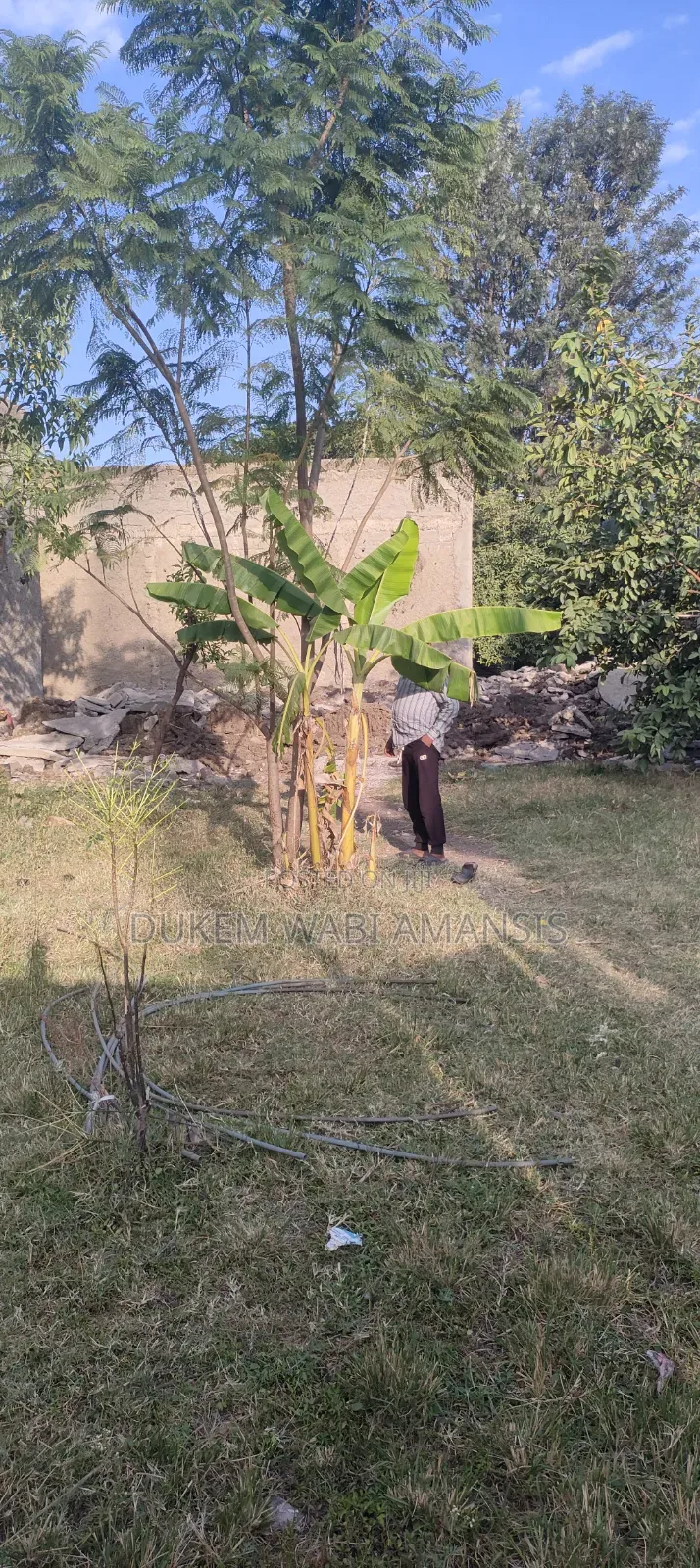 Furnished 3bdrm House in Bishoftu Dukem, East Shewa for sale