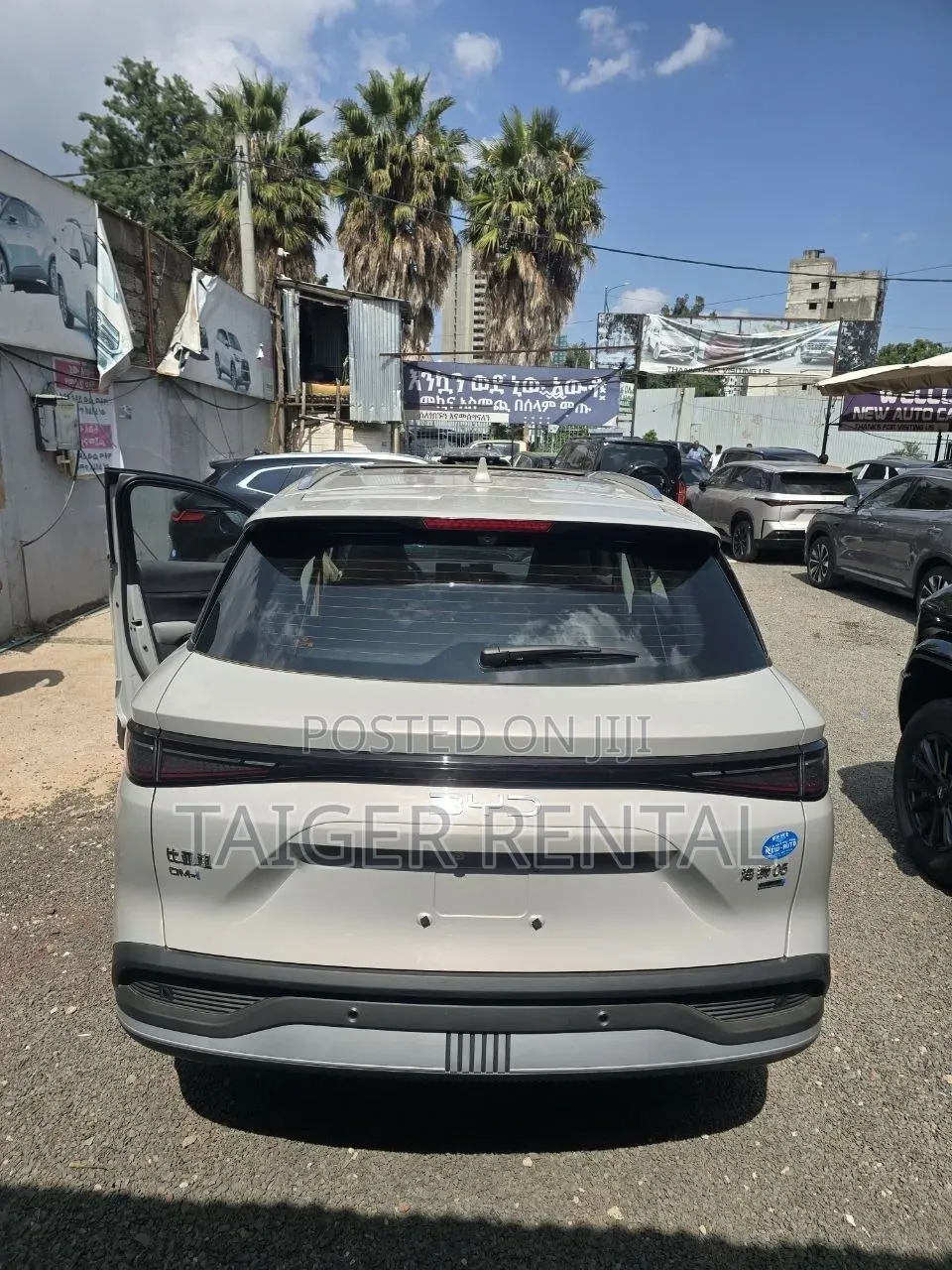 Byd Selion 05 Rent