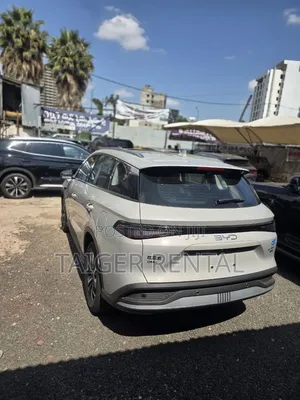 Byd Selion 05 Rent